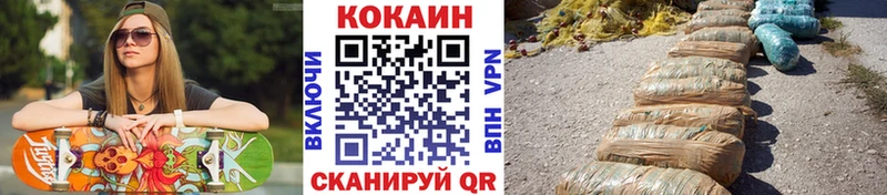 Купить где  Невьянск  COCAIN Fish Scale 