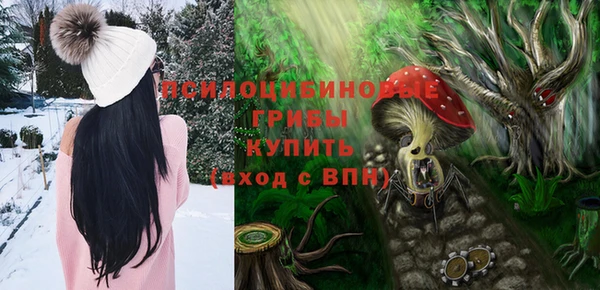 МДПВ Алзамай
