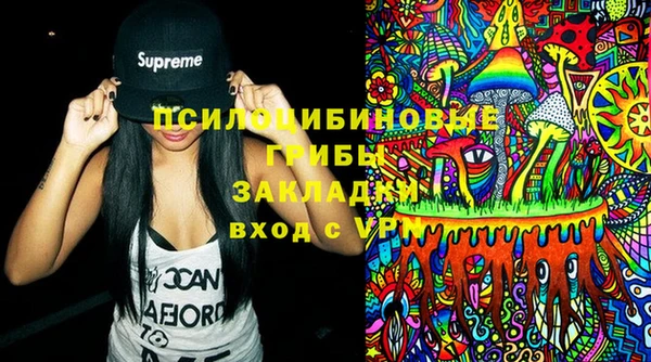 МДПВ Алзамай
